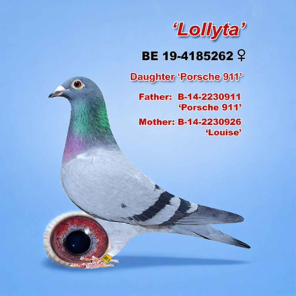 Mother B-19-4185262 Yr 2019 - Daughter of “Porsche 911”