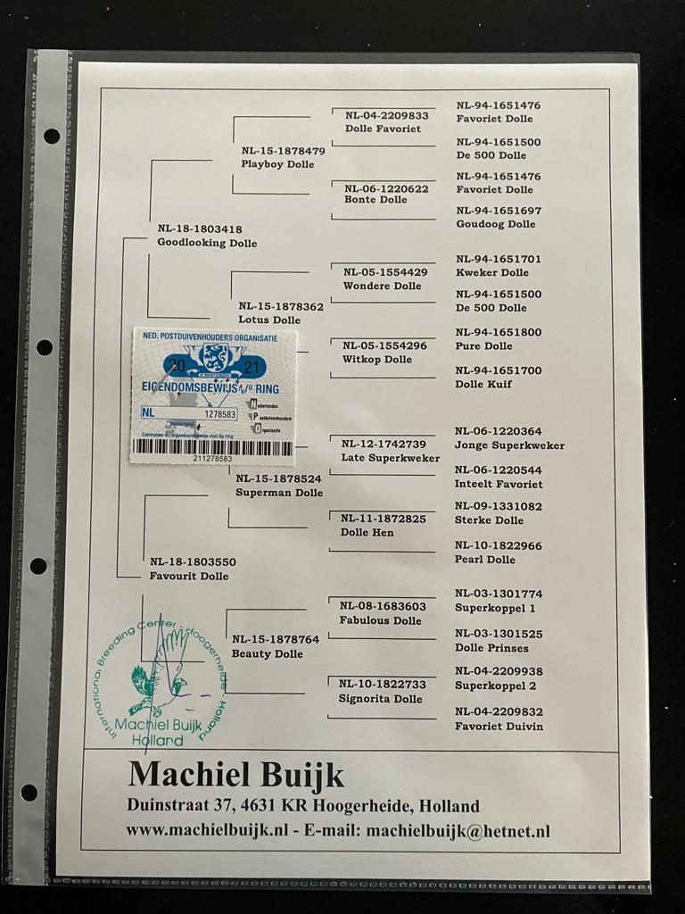 machiel-buijk-male-nl21-1278583-1788604163-e9mt.jpg
