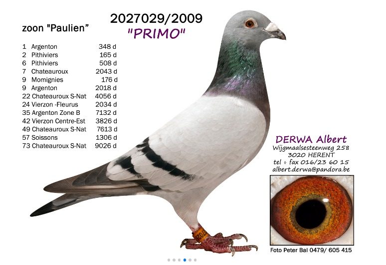 Father B-12-2198180 Yr 2012 - Zoon Primo X Valeska